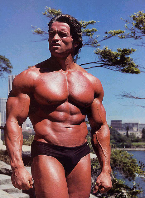 Arnold%2525252BSchwarzenegger%2525252B%25252525252812%252525252529.jpg