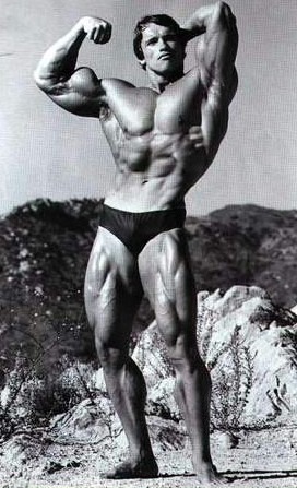arnold-arm.jpg