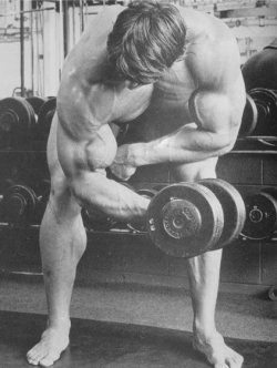 Arnold-concentration-curls.jpg