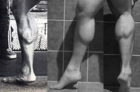 arnold-jos-calfs-bw.jpg