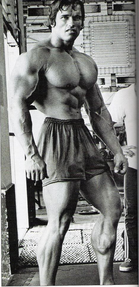 ARNOLD.jpg