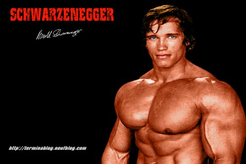 arnold-schwarzenegger-20060109-99364.jpg