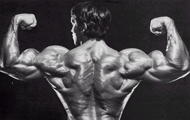 Arnold-Schwarzenegger-Back-1.jpg