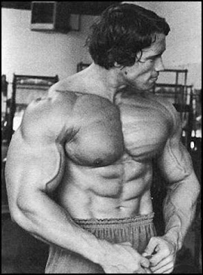 arnold-schwarzenegger-bodybuilding.jpg