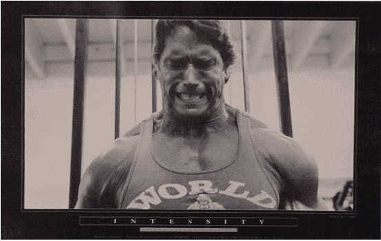 Arnold-Schwarzenegger-intensity.png