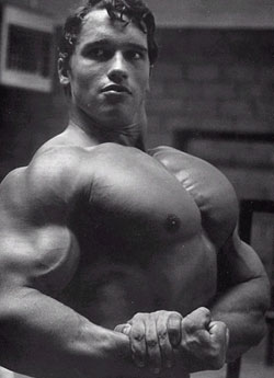 Arnold-Schwarzenegger.jpg