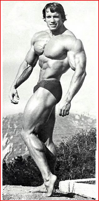 arnold-schwarzenegger1.jpg