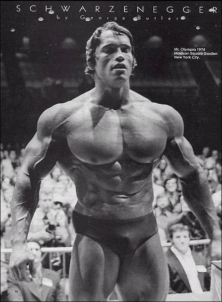arnold-schwarzenegger11.jpg