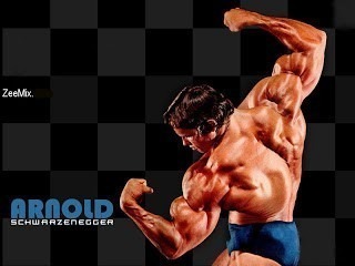 arnold+wallpaper.jpg