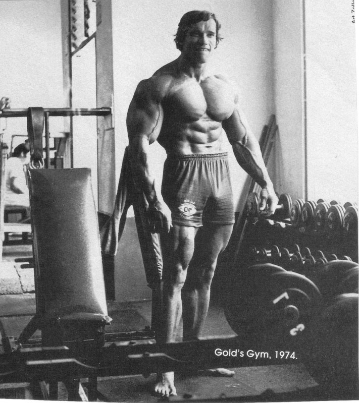 arnold2.jpg
