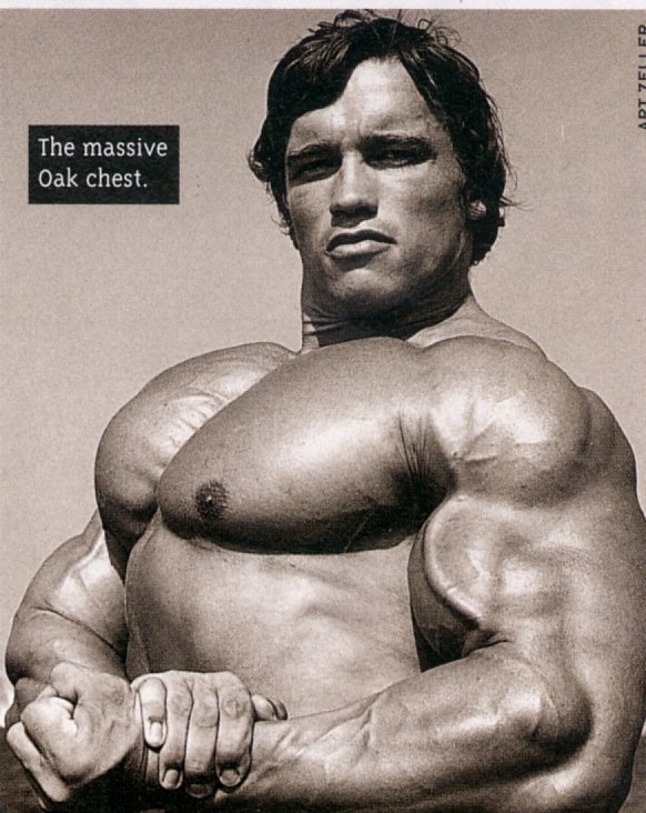 arnold_chest.jpg