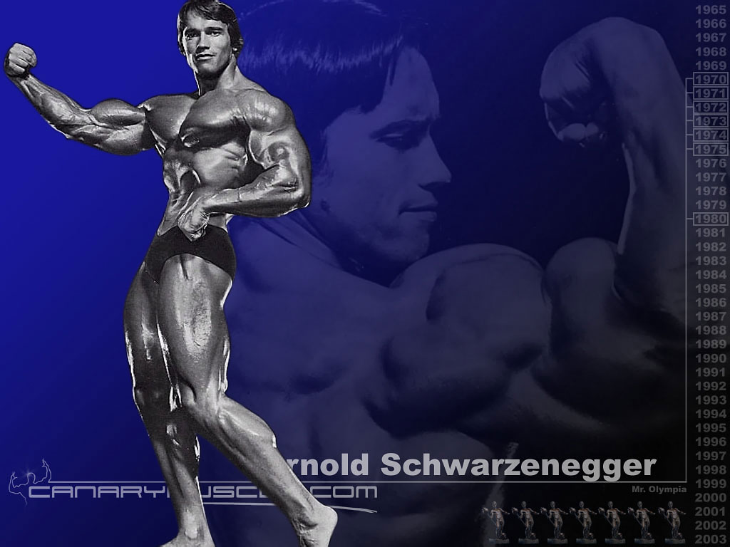 Arnold_Schwarzenegger,_Mr-1._Olympia,_Bodybuilding.jpg