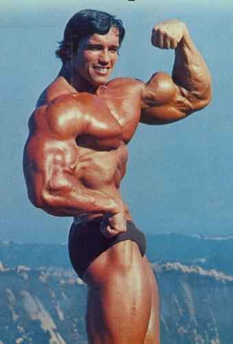 arnold_schwarzenegger.jpg