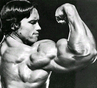 arnold_schwarzenegger+MUSCLE+POSE.jpg