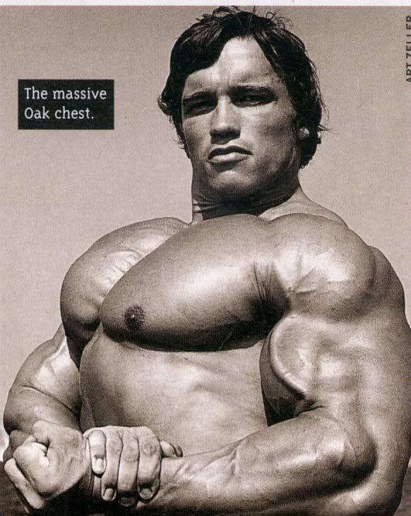 Arnold_Schwarzenegger_-_Side_Chest.jpg