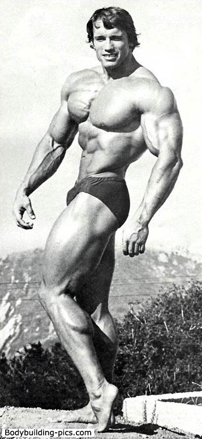 Arnold_Schwarzenegger_965.jpg