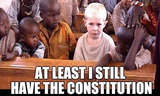 ATLEASTISTILLHAVETHECONSTITUTION2.png