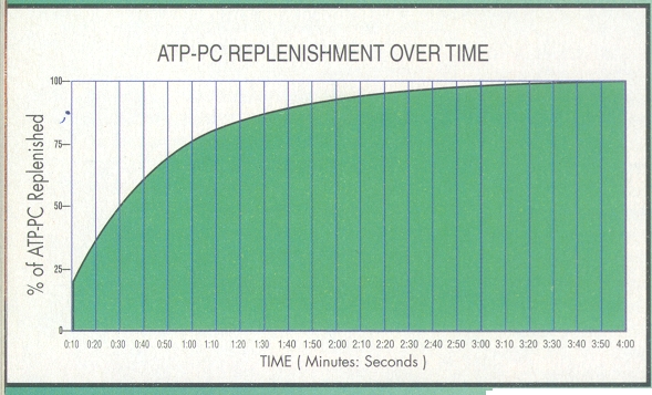 ATP-CP curve.jpg