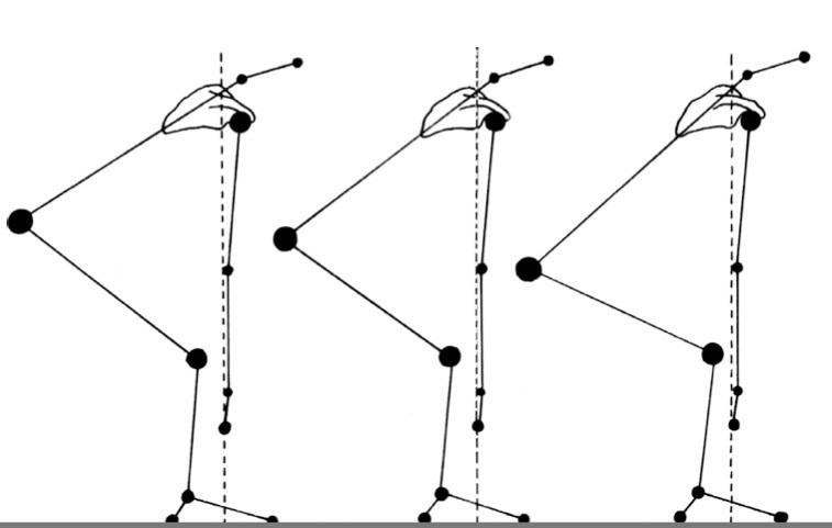 Back angle position.jpg