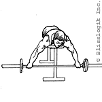 back-barbell-exercise.gif