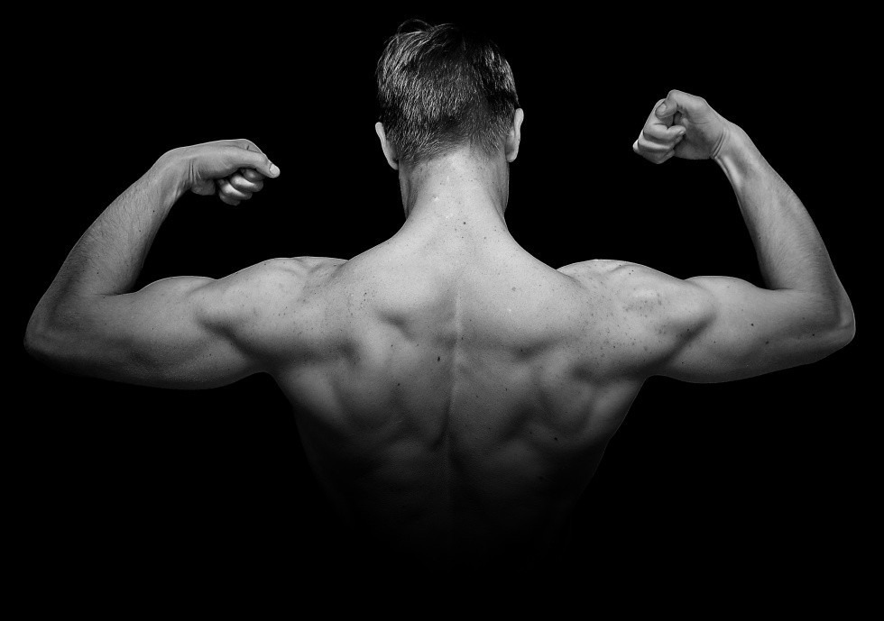 back, double bi's.jpg