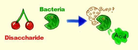 bacteria.jpg