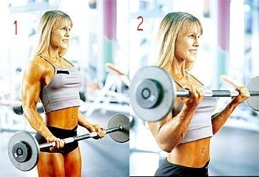 barbellcurl2.jpg