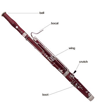 bassoon-2fgrm8c.jpg