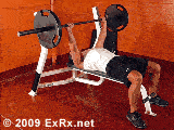 BBBenchPress.gif