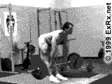 BBStrtBackStrtLegDeadlift.gif