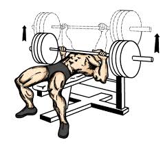 bench_press.jpg