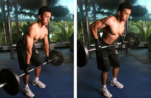 bent-over-barbell-row.jpg