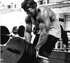 bent-over-t-bar-row.gif