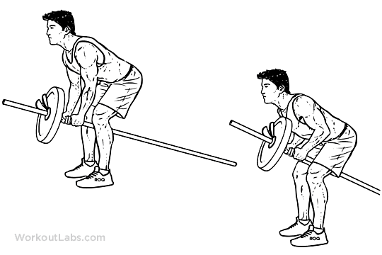 Bent_Over_Two-Arm_Long_Bar_Row.png