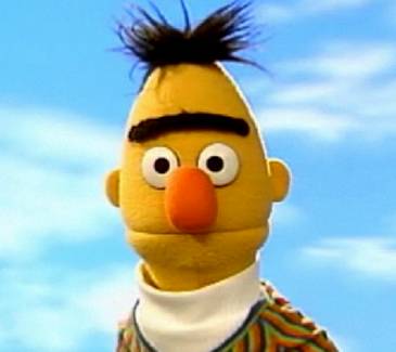 Bert.jpg