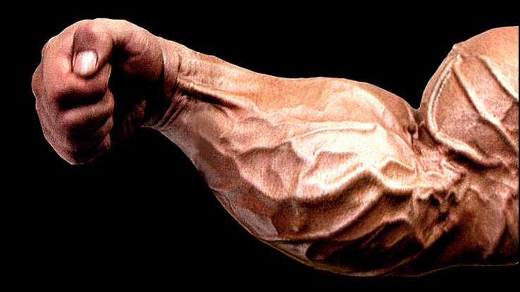 Best-Forearm-Exercise.jpg