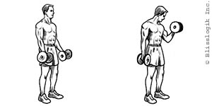 bicep-dumbbell-exercise.jpg