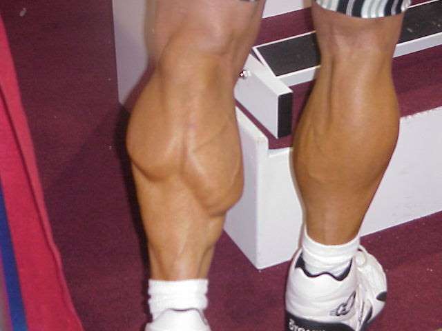 big-calves.jpg