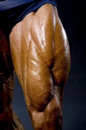Big_Quadriceps.jpg