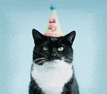 birthday_cat.gif