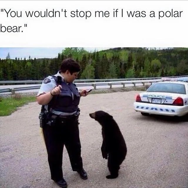 Black-bear-lives-matter.jpg