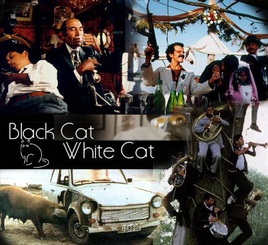 BlackCat-WhiteCat.jpg