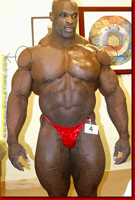body_builder_21sfw.gif