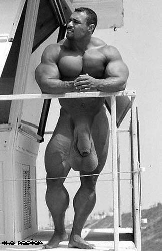 bodybuilder2.jpg