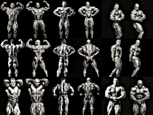 Bodybuilding 120.jpg