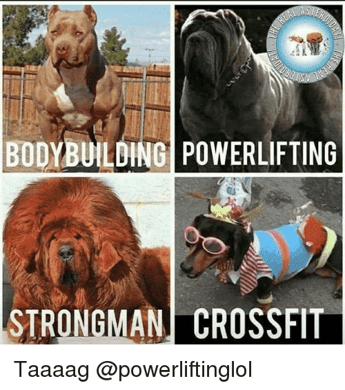 bodybuilding-powerlifting-strongman-crossfit-taaaag-powerliftinglol-25619959.png