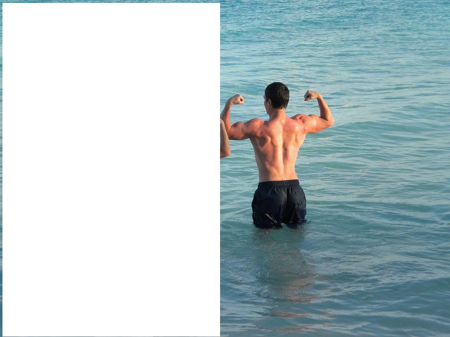 bodybuilding vieques 3.jpg