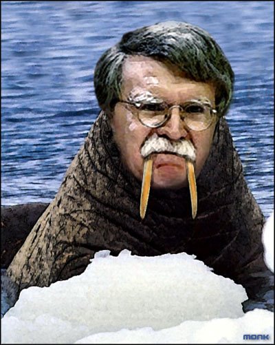 bolton_walrus.jpg