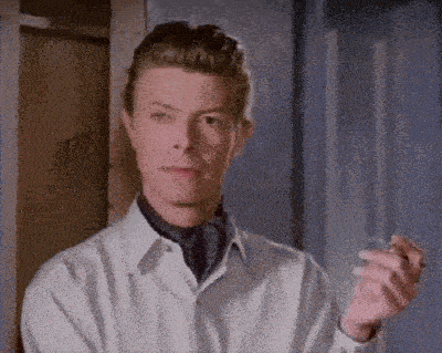 Bowie-disapproves.gif