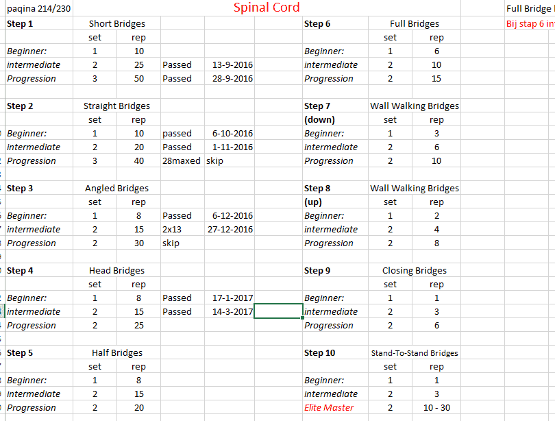 bridge progressie.png